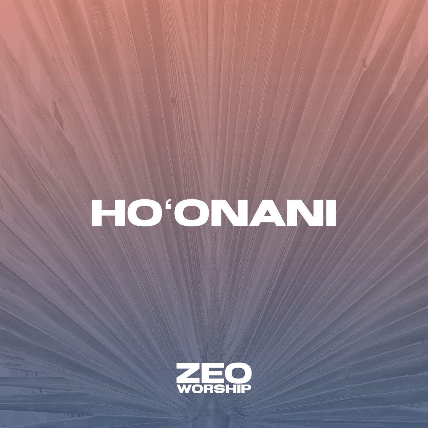 Ho'onani CD - Zeo Worship